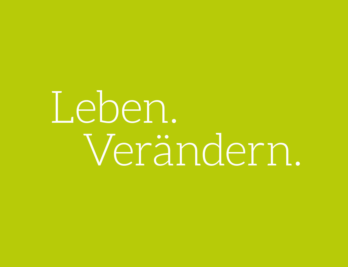 LTS Brandbook – Werbagentur LEHNSTEIN Koblenz Referenzen